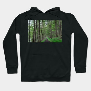 Walking along the path through the woods near Derwent Reservoir, Derbyshire, UK Hoodie